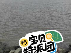 -海鸥岛