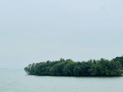 -深圳湾公园(南山区)
