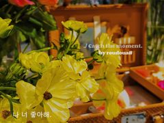 -神秘先生西餐酒廊