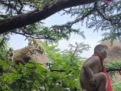 -崂山巨峰游览区