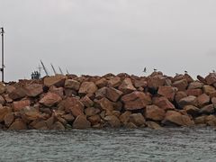 -海驴岛(荣成市)
