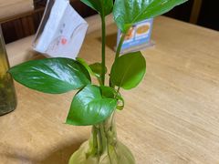 -蜀宴小调·精致家常菜(科华店)