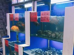 水产区-小老板海鲜酒家(董家渡店)