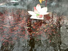 android_upload_pic-水磨沟公园
