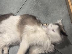 -鸥迪足道会馆(北京街店)