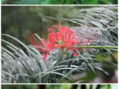 -西湖风景区-江洋畈生态公园