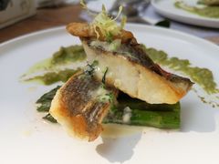 香煎银鳕鱼-馨园villa融合菜(东山店)