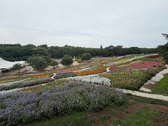 -沈阳植物园