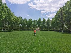 -九十九顶毡房(阜石路店)