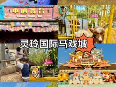 -灵玲国际马戏城