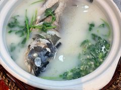 -紫藤园·天目湖大鱼头(南山竹海店)