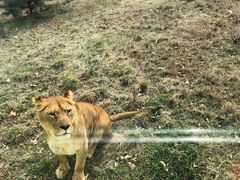 -西安秦岭野生动物园