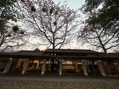 -喜洲吧·江畔老船厂·庭院餐厅(喜临院店)