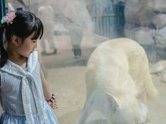 -福州罗源湾海洋世界旅游区