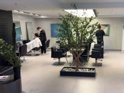 -付军剪艺JF ProSalon