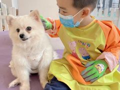 -怪兽屋·羊驼·猫咖·狗咖(俊华广场店)