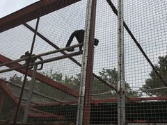 -南昌动物园