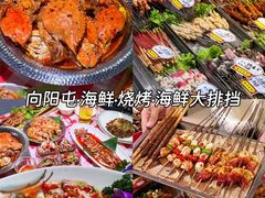 -日照海滨国家森林公园