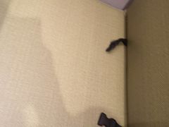 -海底捞火锅(青悦城店)