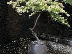 -炊烟餐厅