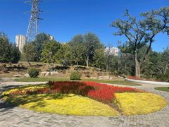 -永定河休闲森林公园