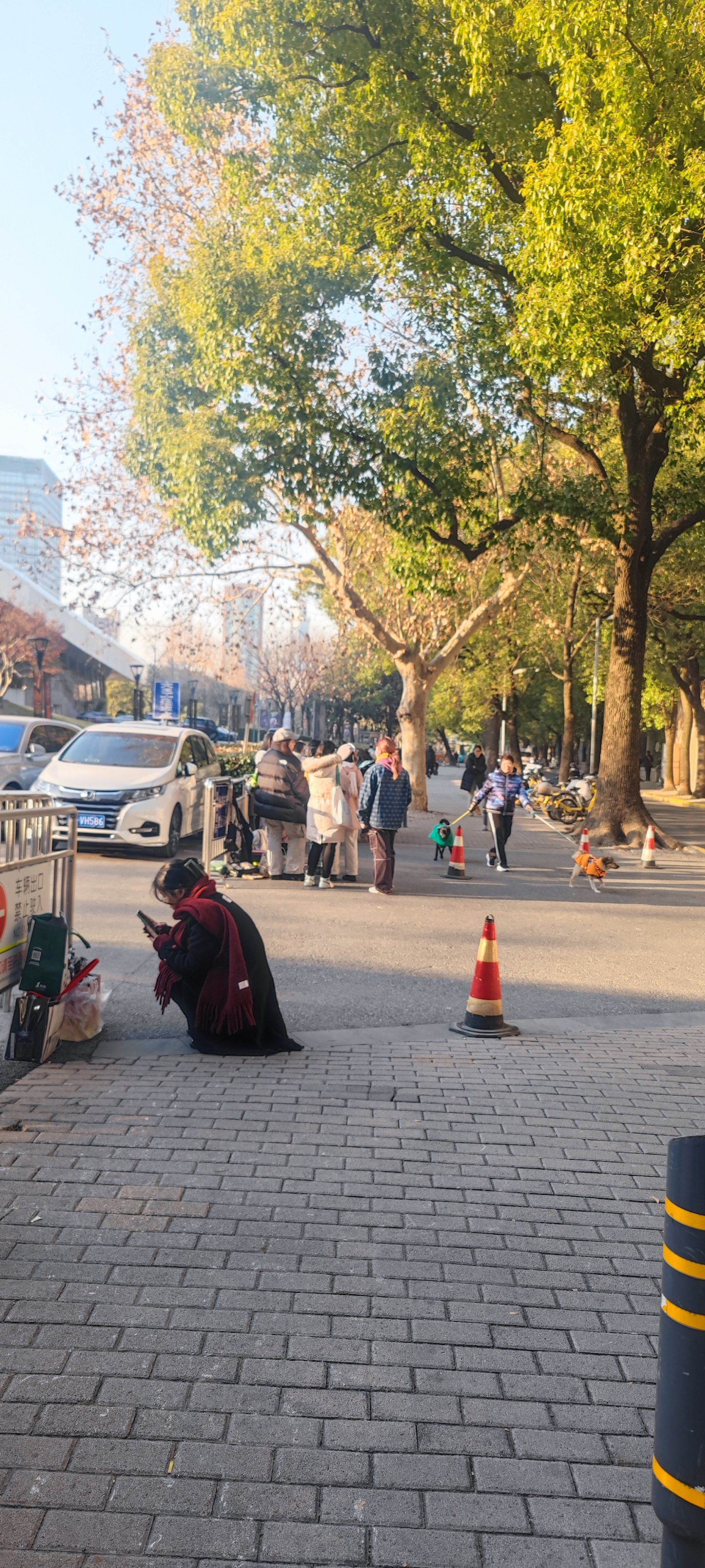 人行道上的热闹场景