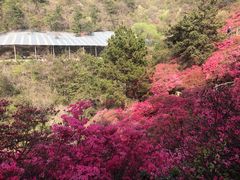-木兰云雾山