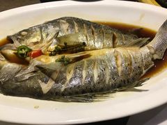 -青叶202都市餐厅(迪诺水镇店)