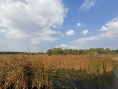 -溱湖国家湿地公园