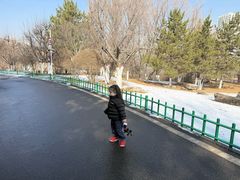 -青藏高原野生动物园