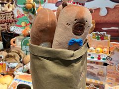 -首开·龙湖成都西宸天街