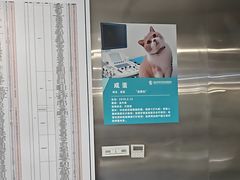 -伟伟宠物医院·CT影像中心·瑞派犬猫综合性门诊(汉口总院)
