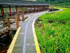 -龙头寺公园