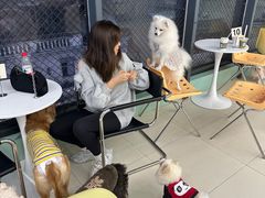 -怪兽屋·羊驼·猫咖·狗咖(俊华广场店)