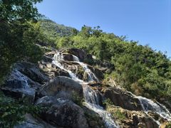 -海南霸王岭国家森林公园