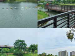 -王借岗森林公园