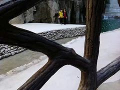 -山西通天峡景区