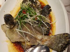 -东方御宴海鲜酒楼(棕泉酒店)