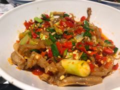鸭掌筋-壹盏灯(惠农店)