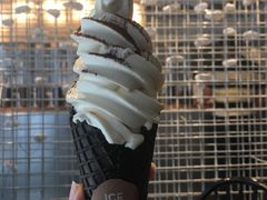 -喜茶(佛山顺德大良东乐路店)