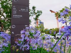 -上海滴水湖皇冠假日酒店