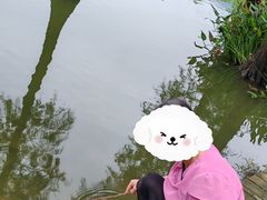 -飞来湖湿地公园