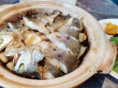 砂锅焗黄花鱼-1937青岛老味道·海肠捞饭·青岛菜(大鲍岛栈桥店)