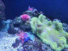 -成都浩海立方海洋公园