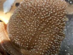 鲜毛肚-湊湊火锅·茶憩(杭州湖滨银泰in77店)