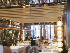 -桂满陇·海市蜃楼·黑金(国金店)