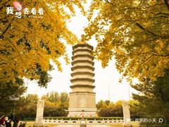 -古塔公园