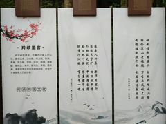 -羚羊峡古栈道森林公园