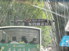 -海南热带野生动植物园
