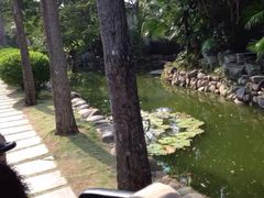 三亚亚龙湾铂尔曼别墅度假酒店-三亚亚龙湾雅高铂尔曼别墅度假酒店